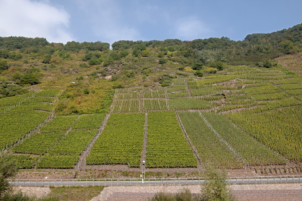 moezel duitsland hdr mosella cochem beilstein rivier france frankrijk trier wijn burg eltz wijngaarden kasteel schloss drachenburg